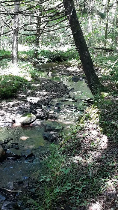 Fernwood Forest Campground Picture 4