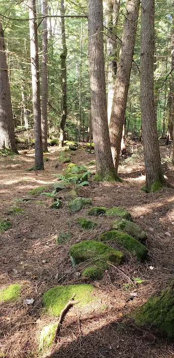 Fernwood Forest Campground Picture 1