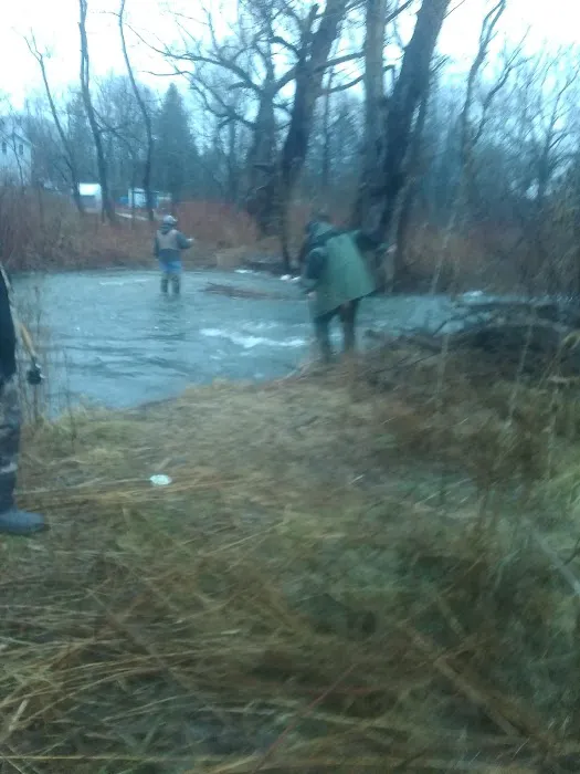 Rolling Acres Mobile Home Park Picture 3