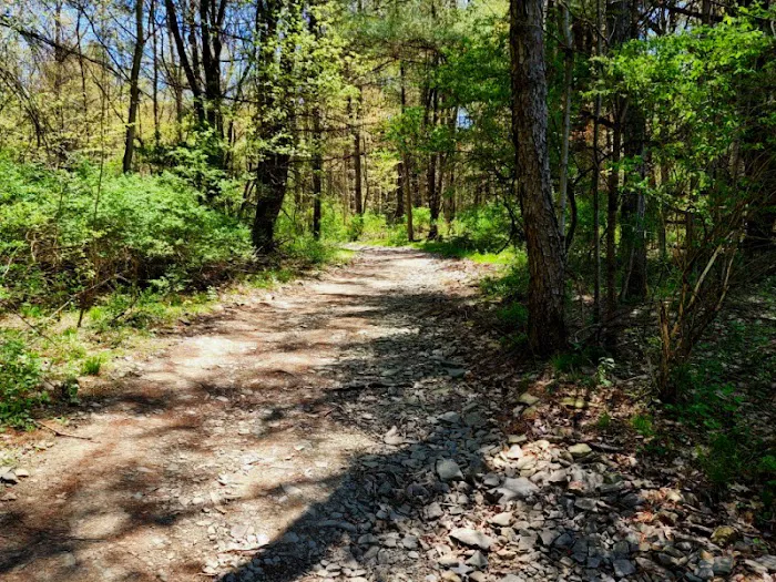MorningStar RV Park Picture 3