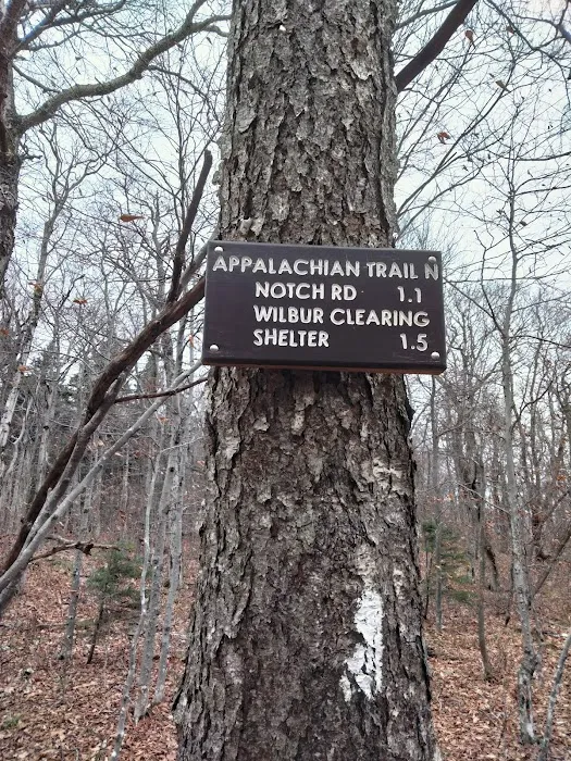 Mt. Greylock Campground Parking Lot Picture 6