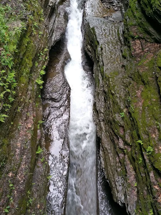 Meadowbrook Park Picture 4