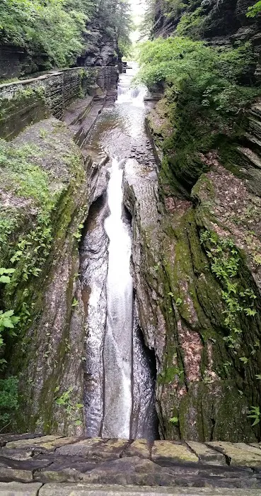 Meadowbrook Park Picture 6