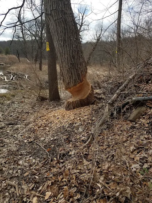 Meadowbrook Park Picture 9