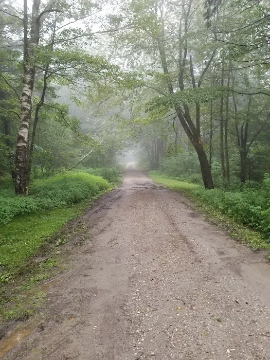 Sperry Road Campground Picture 2