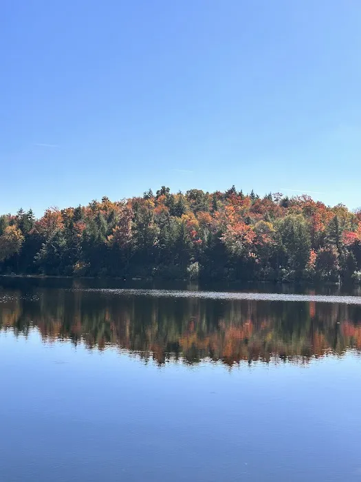 Savoy Mountain State Forest Campground Picture 5