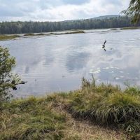Savoy Mountain State Forest Campground ico