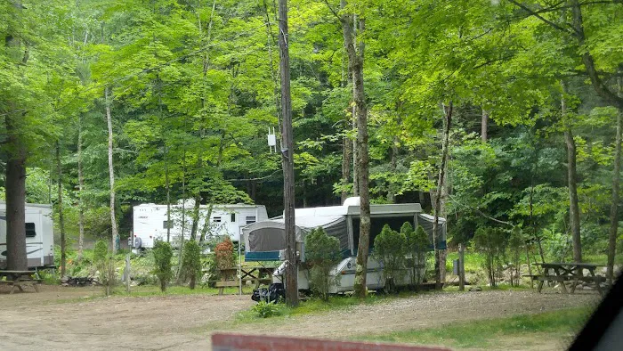Walker Island Family Camping Picture 6