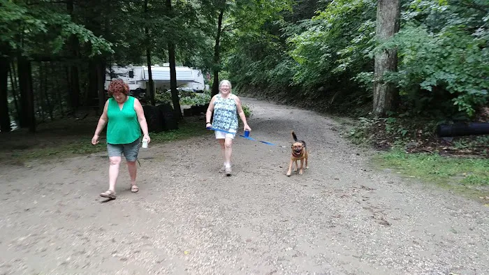 Walker Island Family Camping Picture 1