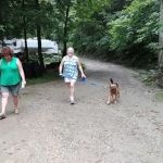 Walker Island Family Camping