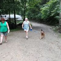 Walker Island Family Camping ico