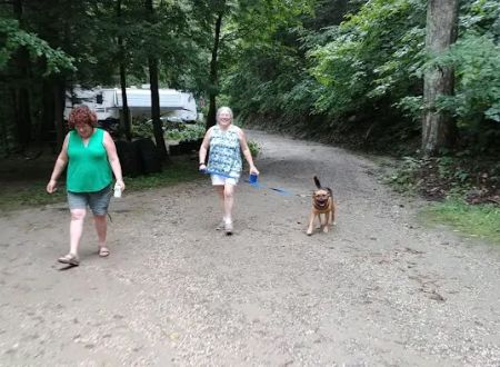 Walker Island Family Camping