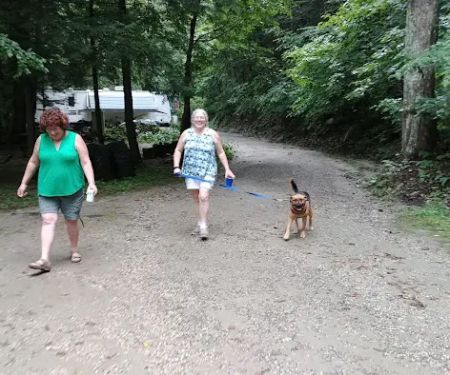 Walker Island Family Camping