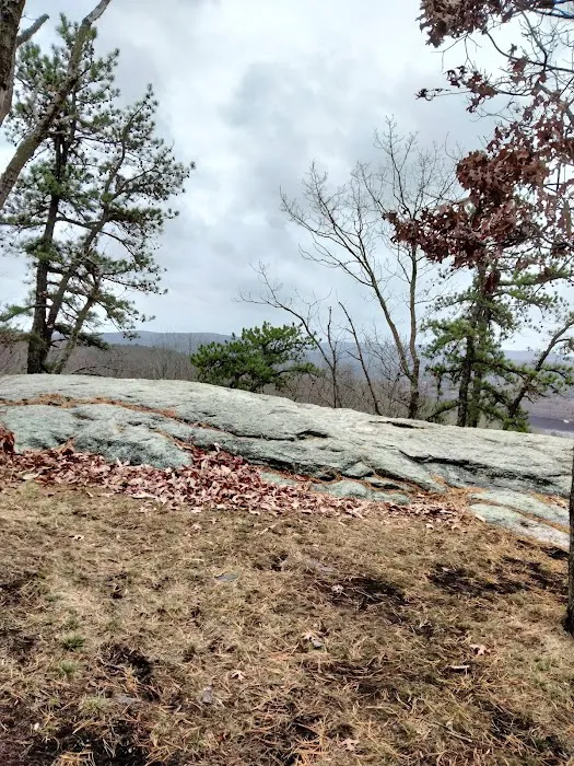 Hurd State Park River Camp Picture 6