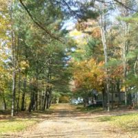 Hidden Forest Homes ico
