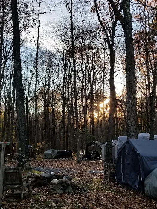Little City Campground Picture 5