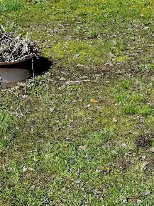 Little City Campground Picture 3