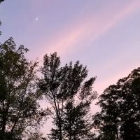 Little City Campground ico