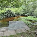 Riverdale Farm Campsite