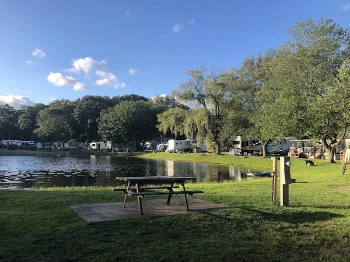 Riverdale Farm Campsite Picture 6