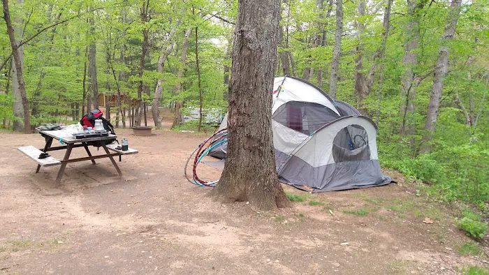 Riverdale Farm Campsite Picture 2