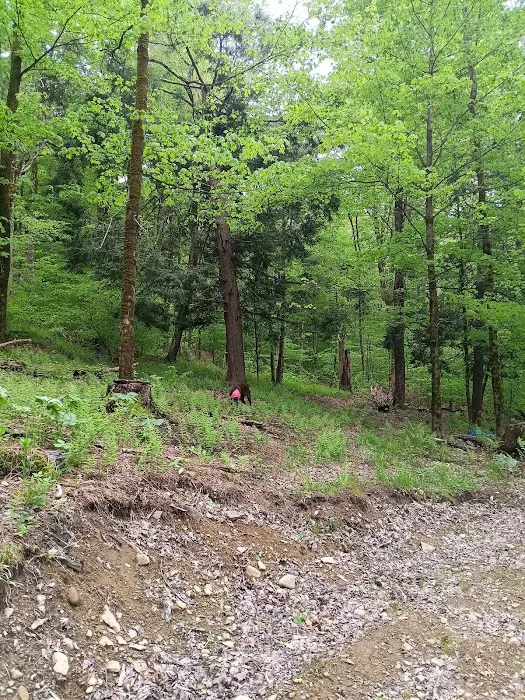 Alfheim Botanical LLC Picture 5