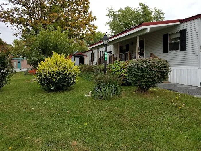 Starview Sales Inc Picture 9