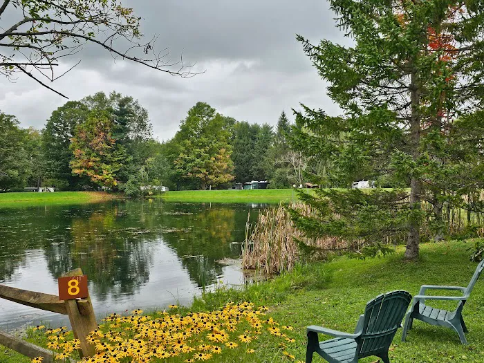 Cooperstown Shadow Brook Campground Picture 3