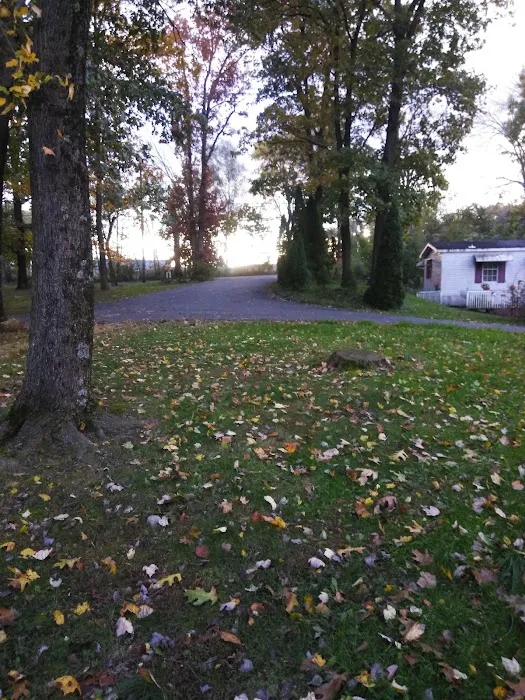 Regent Acres Mobile Home Park Picture 5