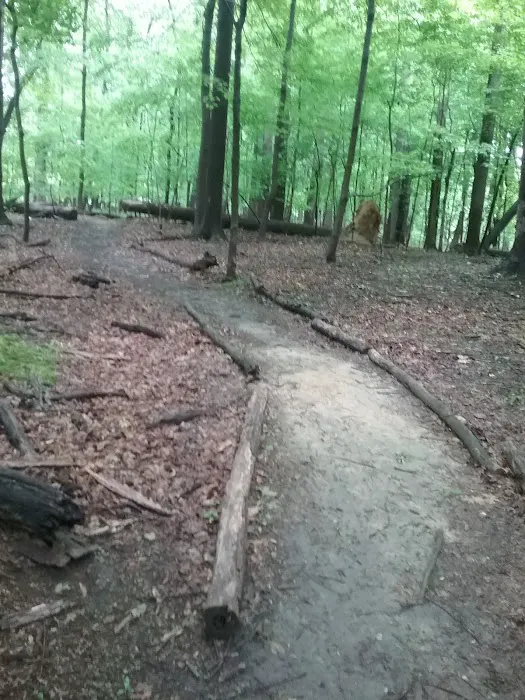 Meadowbrook Mobile Home Park Picture 6
