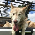 Cooperstown KOA Journey