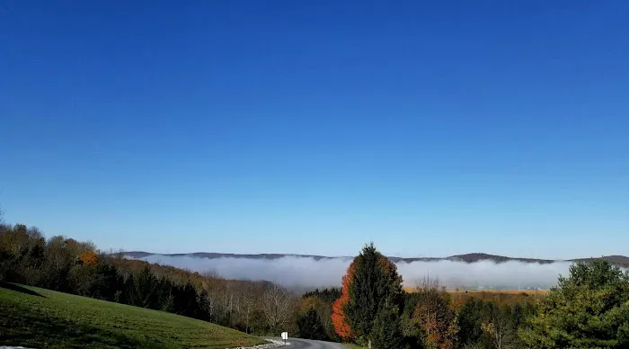 Scenic View Campground Picture 6