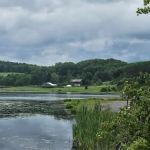Millbrook Reservoir