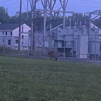 Salem Acres Mobile Home Park ico