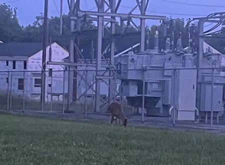 Salem Acres Mobile Home Park