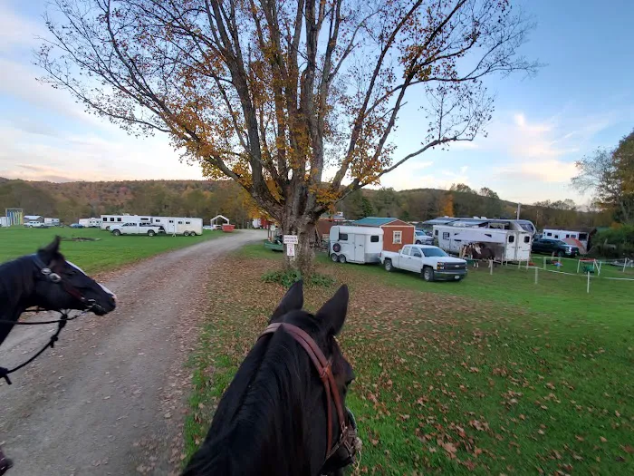 Pure Country Campground Picture 8