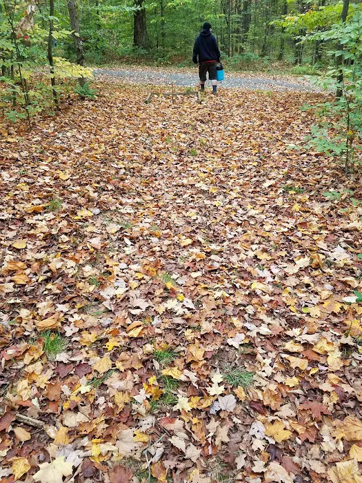 Cherry Ridge Campground Picture 1