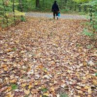 Cherry Ridge Campground ico