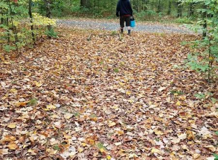 Cherry Ridge Campground
