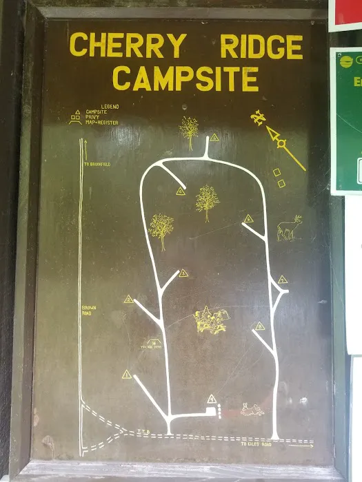 Cherry Ridge Campground Picture 4