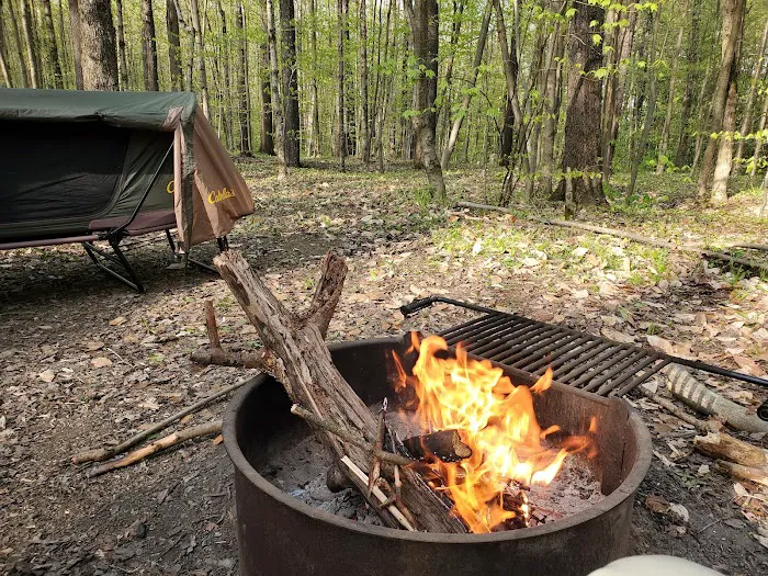 Cherry Ridge Campground Picture 5