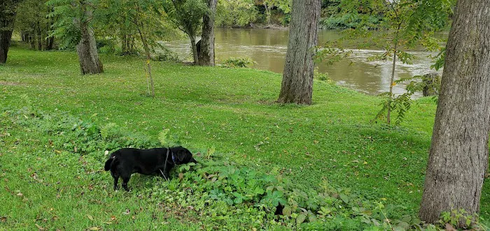 Riverside RV Campground Picture 8