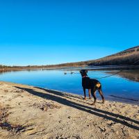 Locust Lake State Park Campground ico