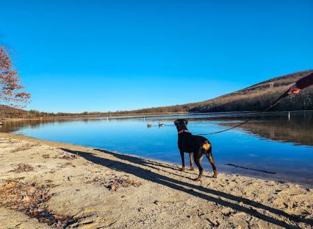 Locust Lake State Park Campground
