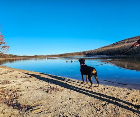 Locust Lake State Park Campground
