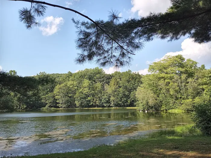 Red Ridge Lake Campgrounds Picture 6
