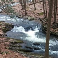 Council Cup Campground ico