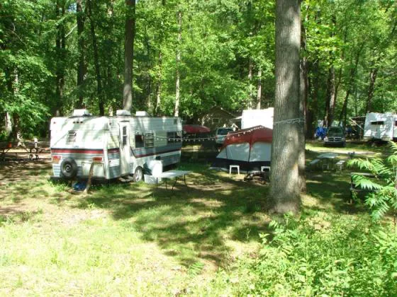 Council Cup Campground Picture 3