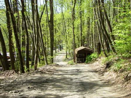 Council Cup Campground Picture 6