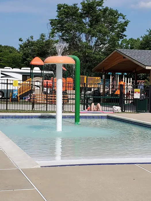 Mountain Springs Camping Resort Picture 3